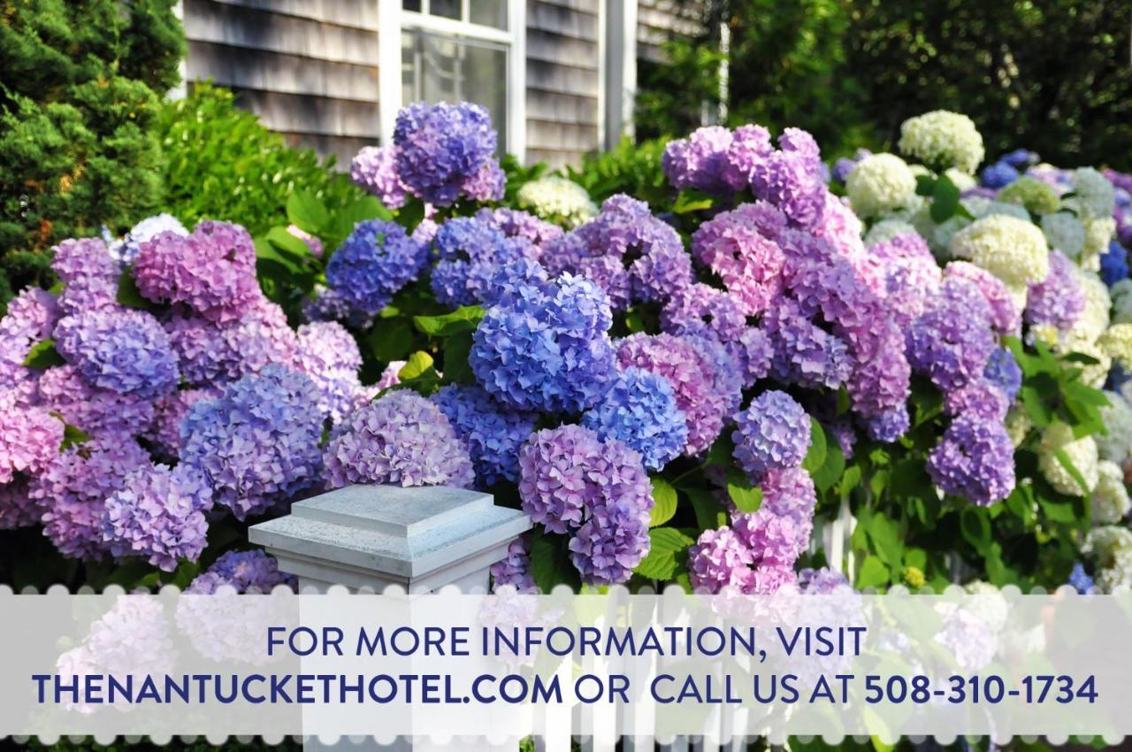 The Nantucket Hotel & Resort Luaran gambar